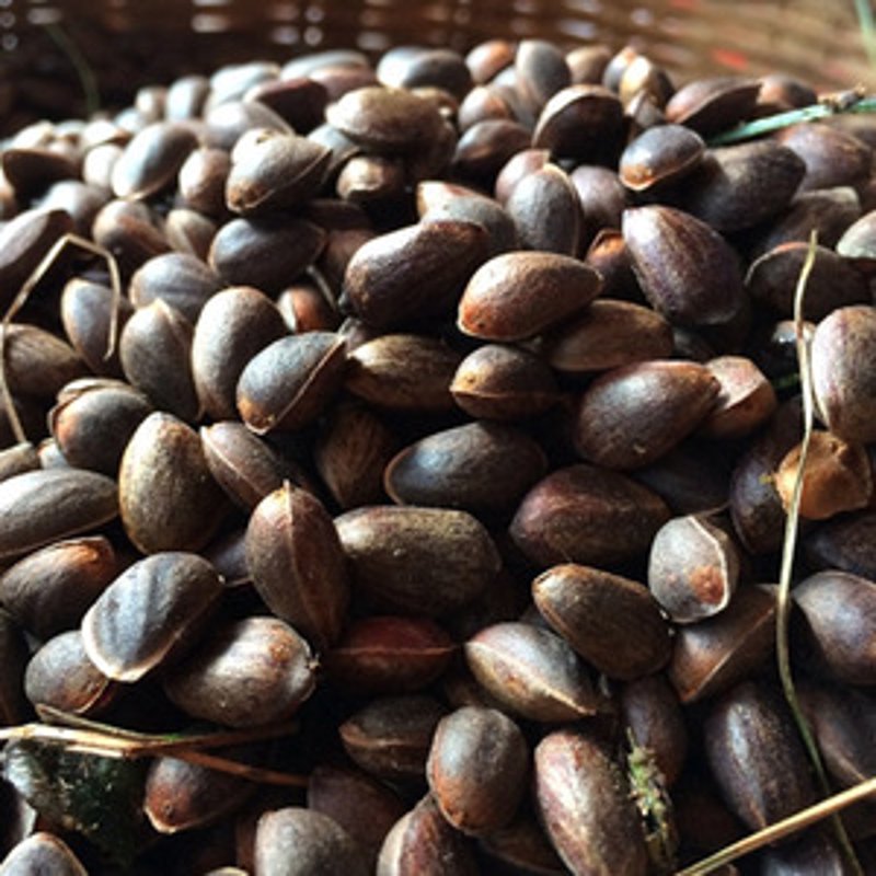 大理：美食批发新地标